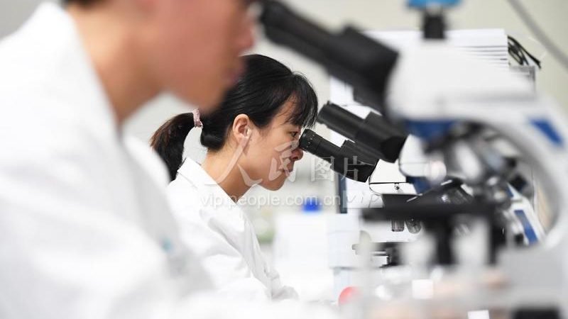 游泳基因检测：揭秘游泳运动员的基因奥秘