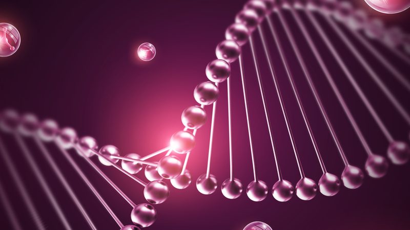 DNA聚合酶型号解析：揭秘基因编辑的“精准利器