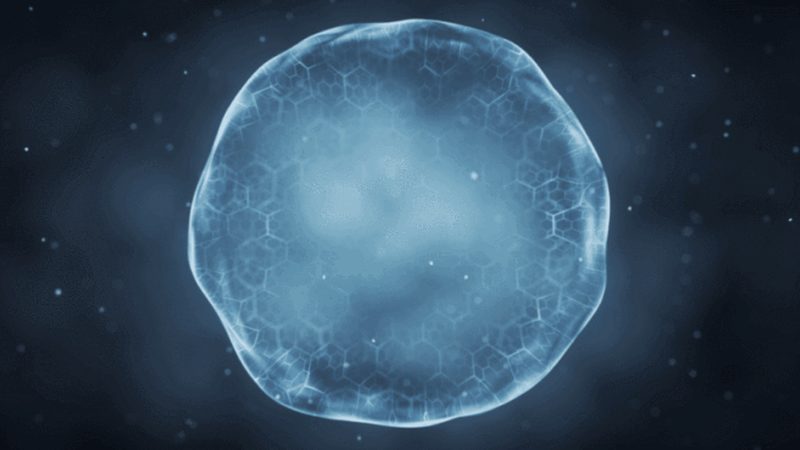 PCR检测：精准诊断的利器