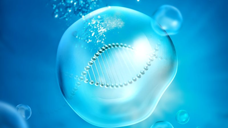 生物医药园区招商优缺点分析：机遇与挑战并存