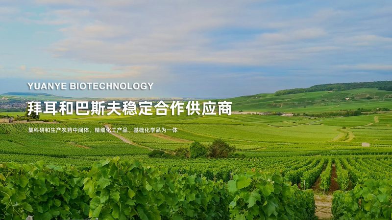 北京生物试剂质量认证标准：揭秘背后的严格规范