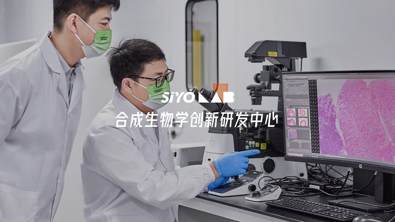 电商CRO策略：构建高效药物研发新路径