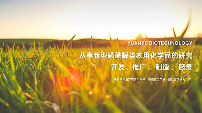小标题：CRo优化工具的关键功能