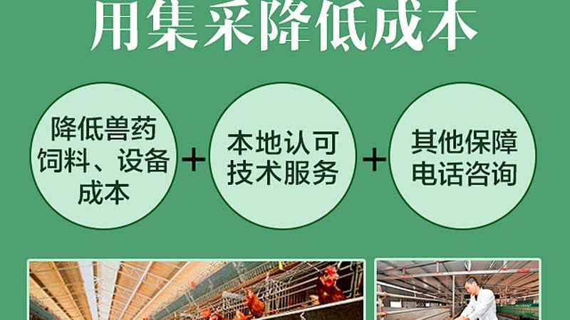 CDMO项目合作模式：揭秘医药研发背后的合作伙伴