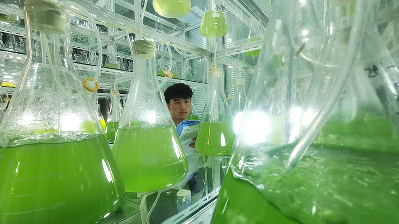 基因测序定制化流程：揭秘精准医疗的幕后步骤